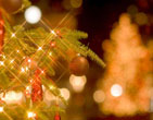 Christmas Wallpapers 294